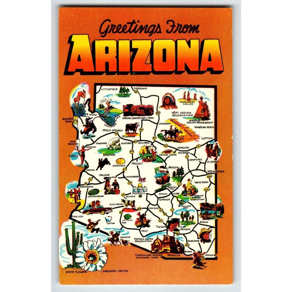 Postcard Greetings From Arizona Map Chrome Saguaro Cactus Flower Unposted